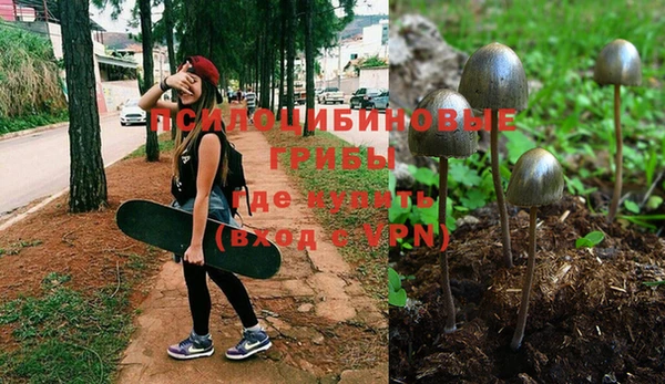 дистиллят марихуана Беломорск