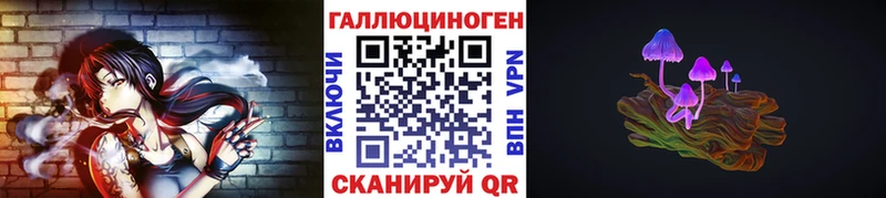 хочу Острогожск Галлюциногенные грибы Psilocybine cubensis